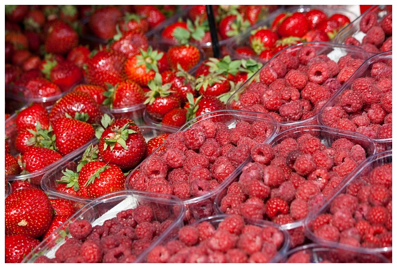 Red Berries