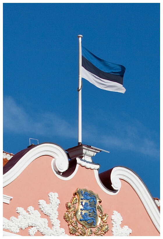 Estonia Flag