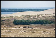 Curonian Spit