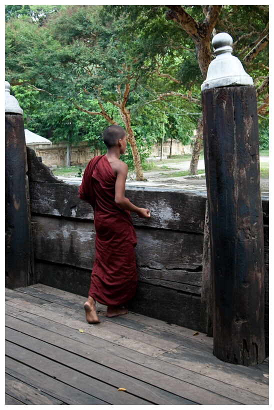 Monk at the Veranda