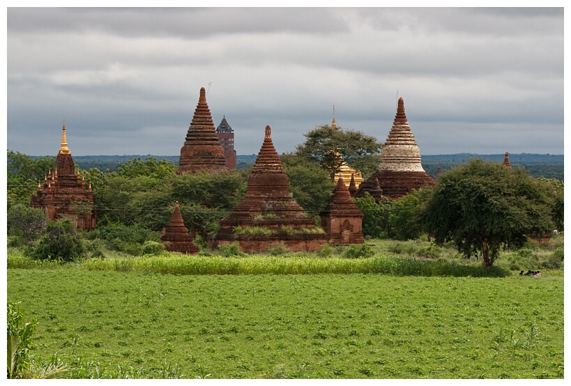 Bagan Image