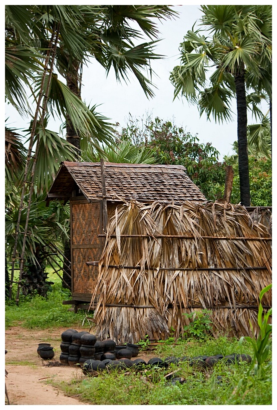 Burmese Farm