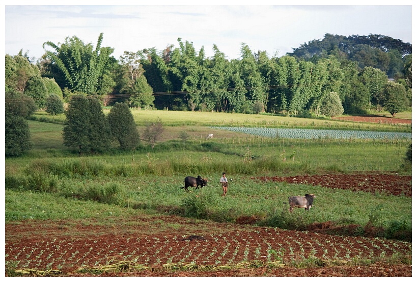 Working on the Fields