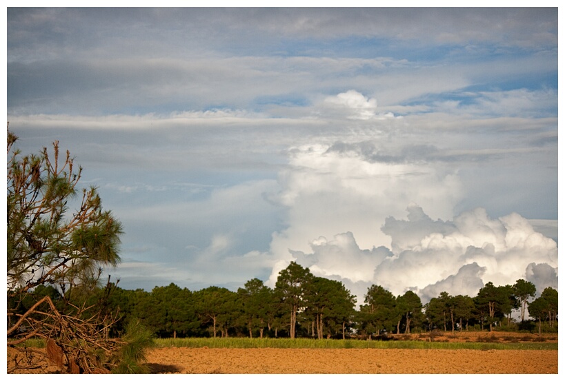 Myanmar Landscape