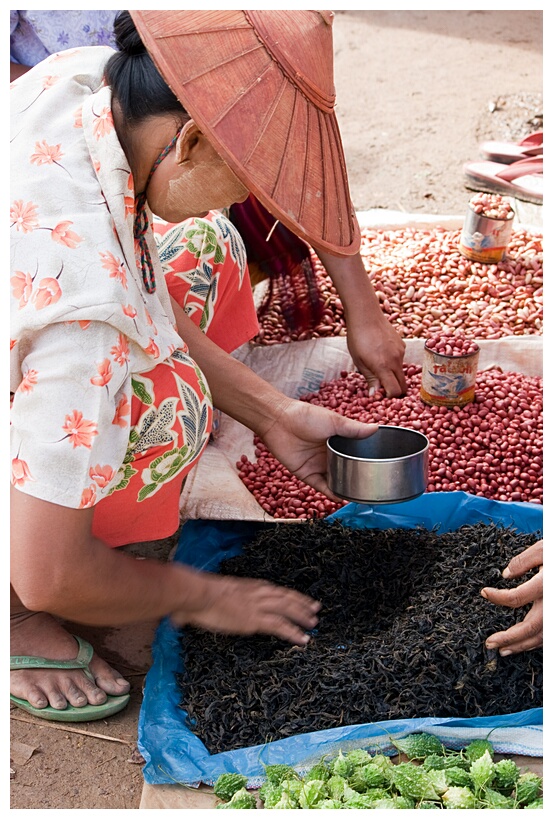 Selecting Tea