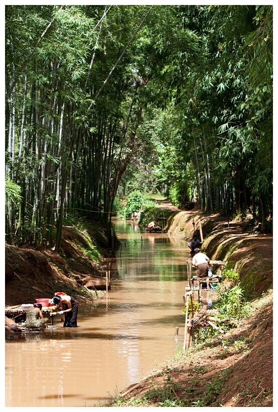 Nature Washing