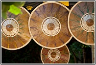 Bamboo Hats