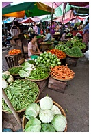 Local Market