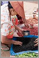 Selecting Tea