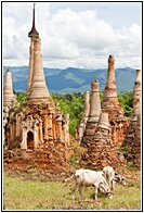 In Dein Stupas