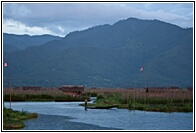 Floating Farms