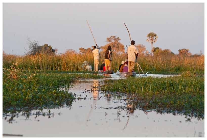 Mokoros in Okavango Delta