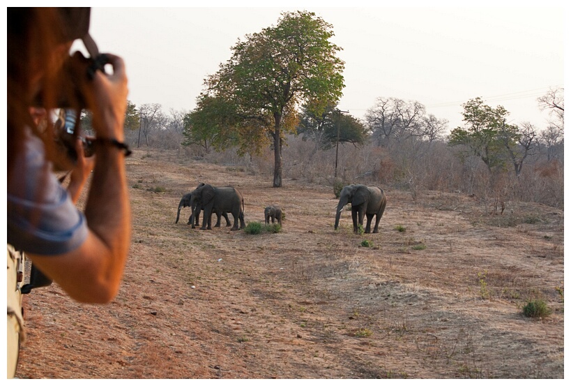 Taking Photographs