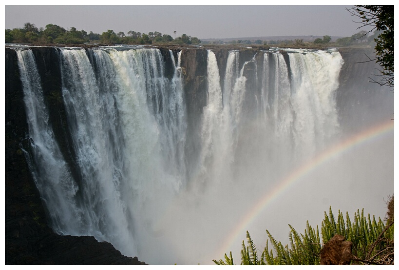 Zambia 