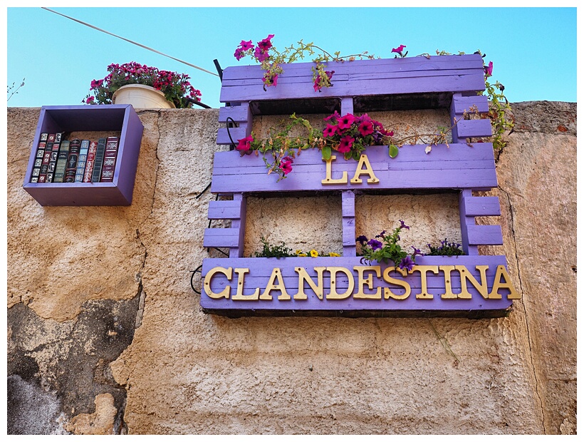 Festival de la Lavanda