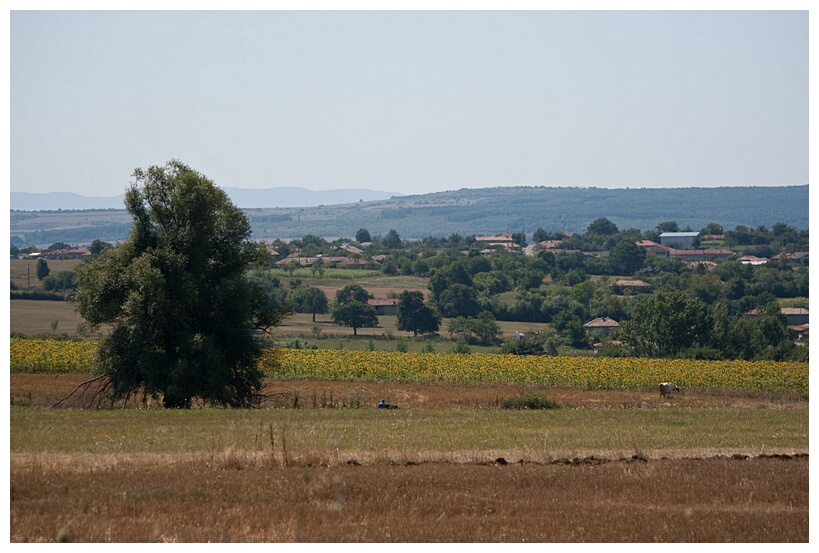 Bulgarian Plateau