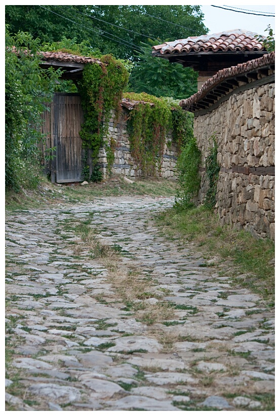 Cobbled Street