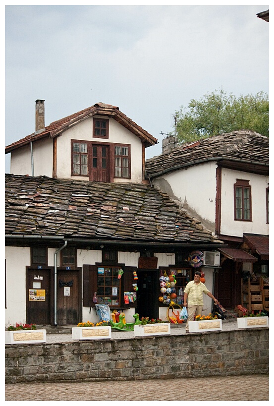 Traditional House