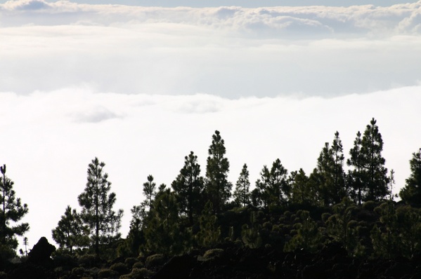 Sea Clouds