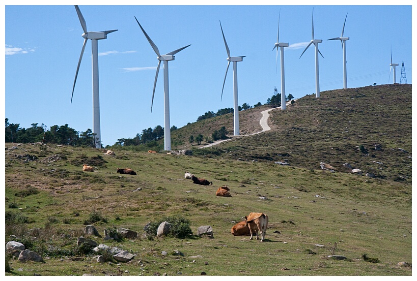 Molinos Elicos