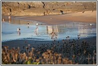 Playa de Cuberris