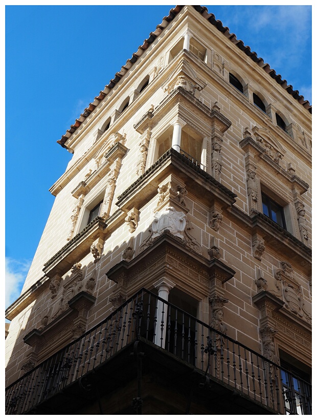 Palacio de los Condes de Guadiana