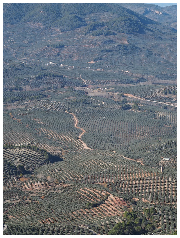 Segura de la Sierra