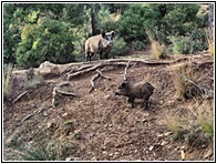 Sierra de Cazorla