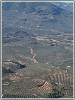 Segura de la Sierra