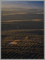 Segura de la Sierra