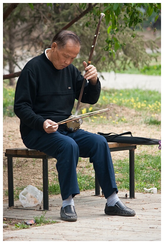 Traditional Musician