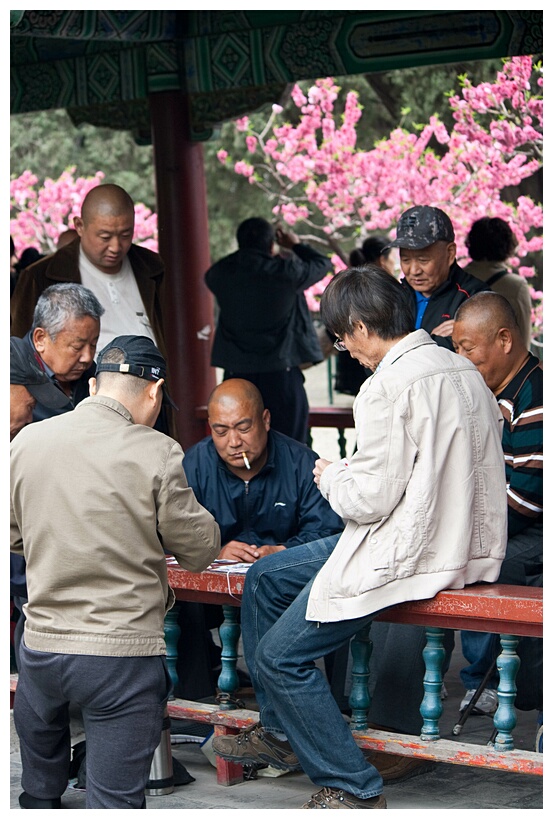 Playing Cards