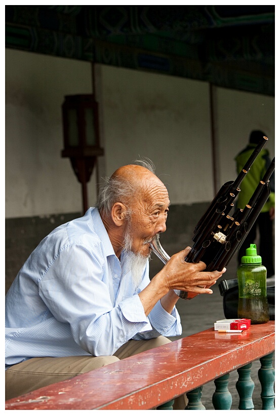 Chinese Man Playing Sheng