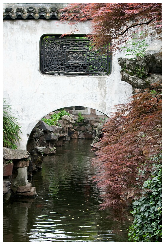 View for Frolicking Fish