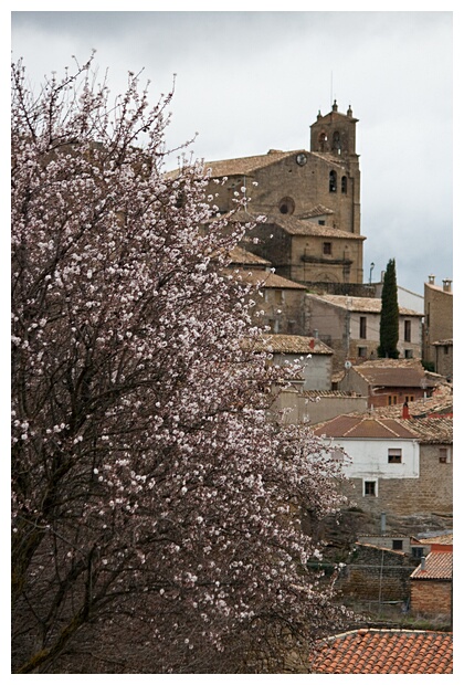 Comarca de las Cinco Villas