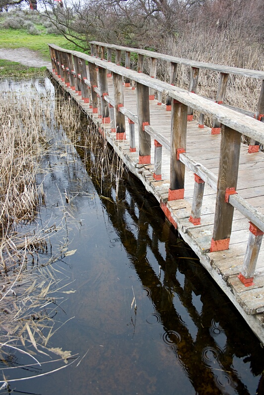 Pasarela sobre el Agua