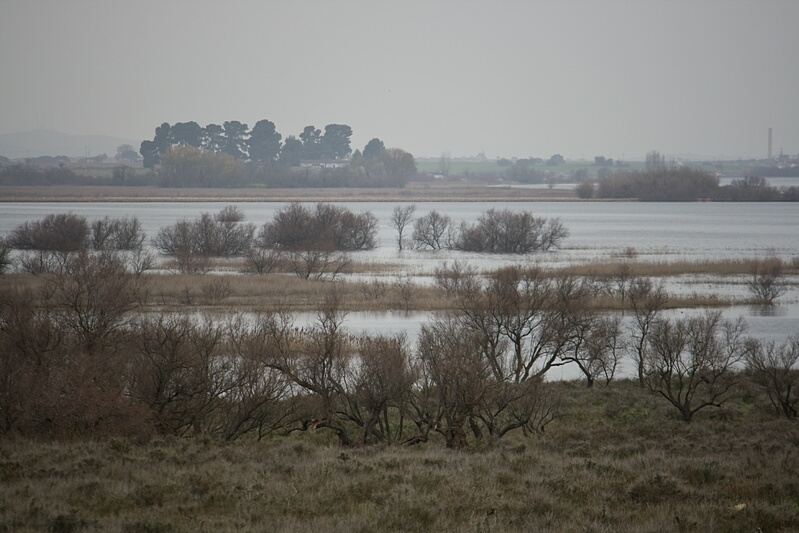 Panormica de Daimiel