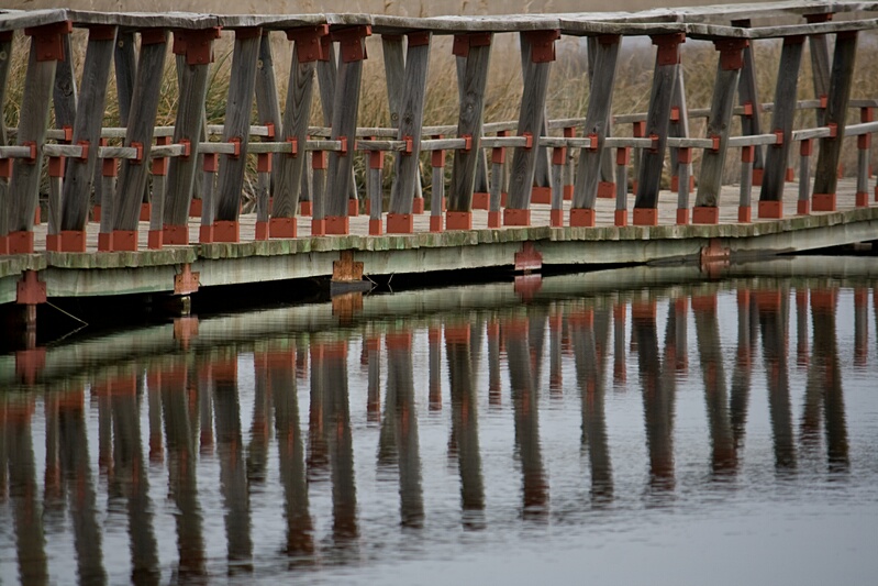 Pasarela Reflejada