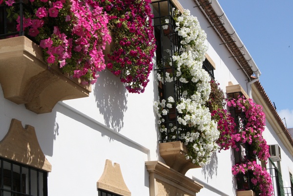 Balcones Floridos