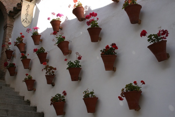 Pared Engalanada de Flores