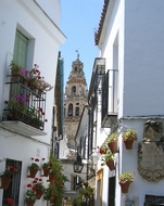 Callejn de las Flores