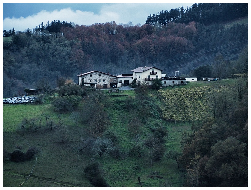 Euskadi