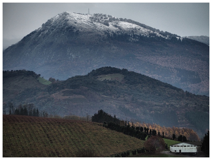 Montes Nevados