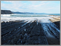 Flysch