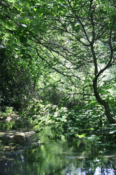 Parque de Krka