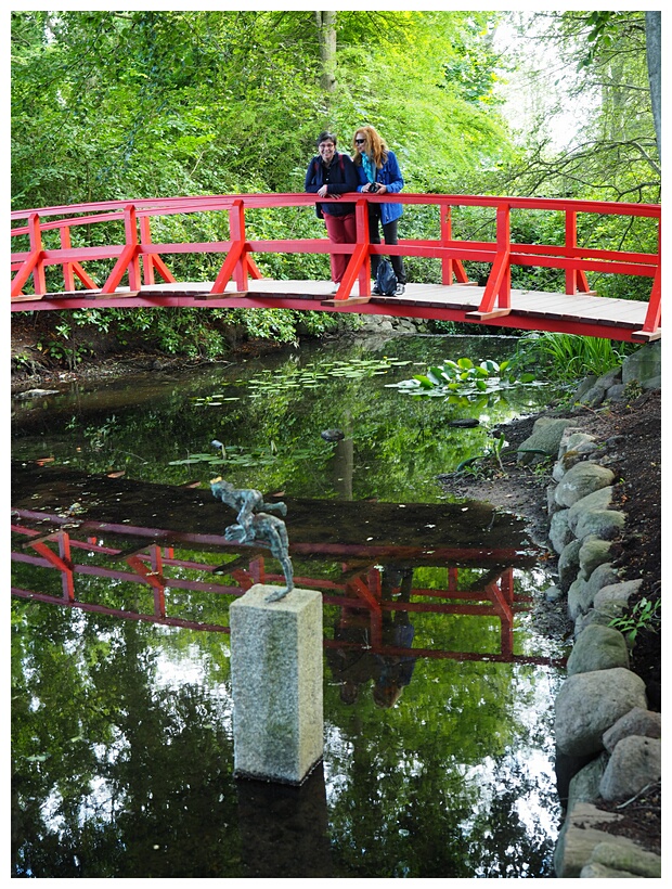 Water Garden