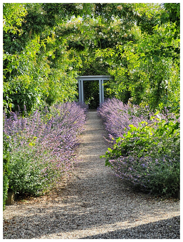 Scent Garden