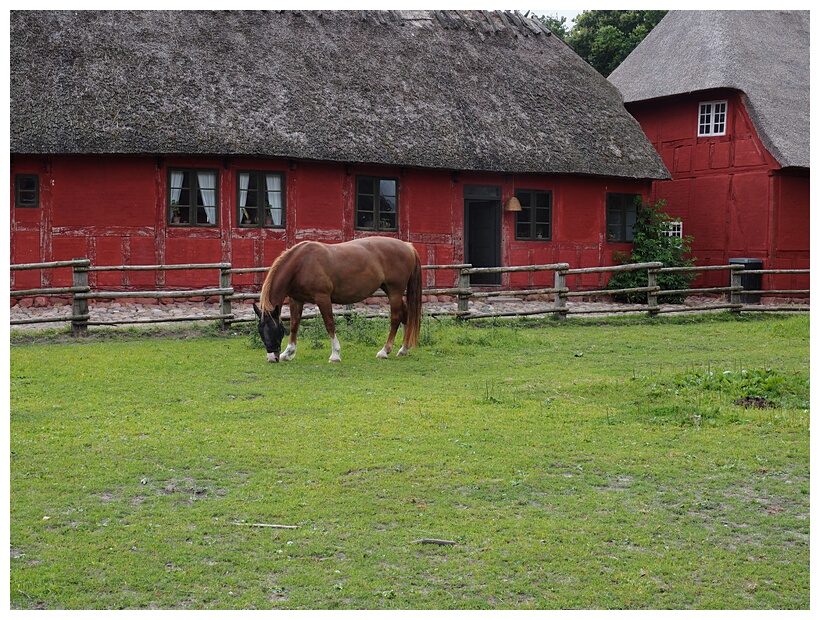 Funen Village