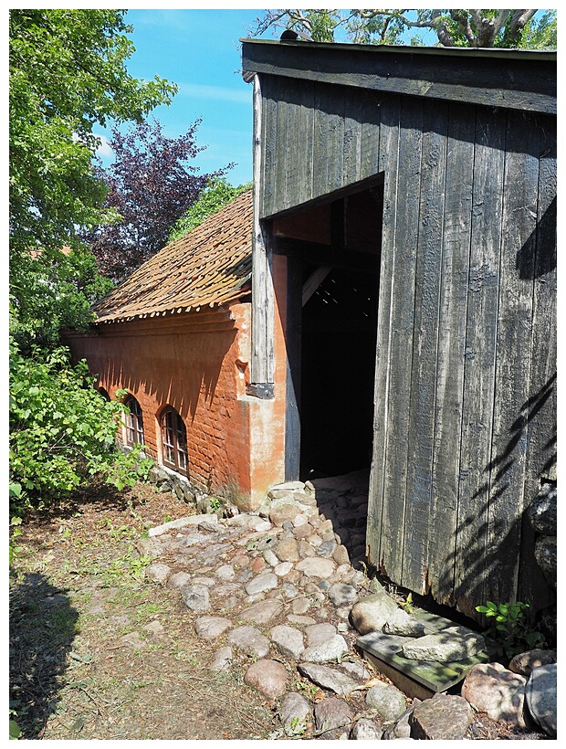 Old Shed