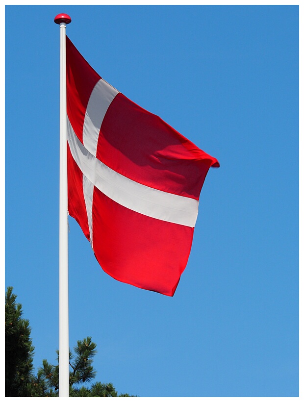 Danish Flag